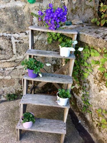 Bed & Breakfast Maison Billot