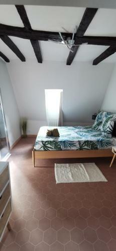 Apartamento Charmant Appartement Refait � Neuf