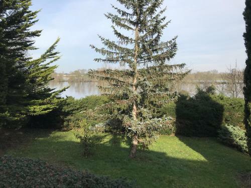 Bed & Breakfast Une Nuit Sur Loire