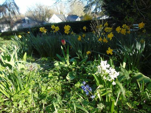 Bed & Breakfast Une Nuit Sur Loire