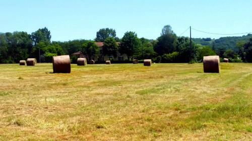 Bed & Breakfast Aux Petits Lardons