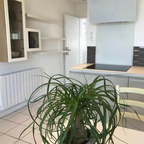 Cottage Vue Sur Mer Piscine