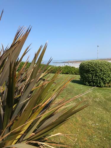 Cottage Vue Sur Mer Piscine