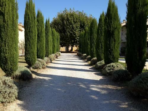 Apartamento Le Figuier