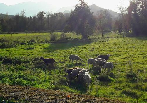 Apartamento Domaine Lou Castet - Gite