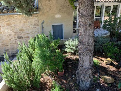 Villa Provence Dream Chalet