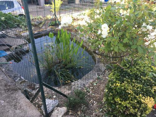 Jardin De Campagne