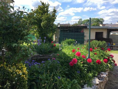 Jardin De Campagne