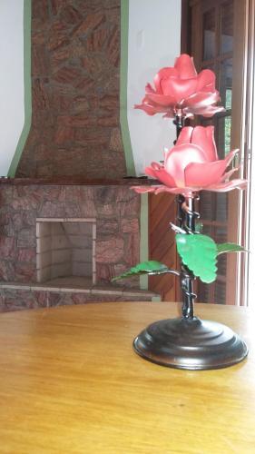 Hostal Pousada Brilho Da Natureza