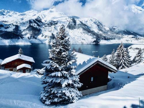 Chalet Les Asphodeles