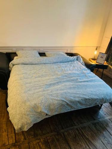 Apartamento Aube Berges De Troyes
