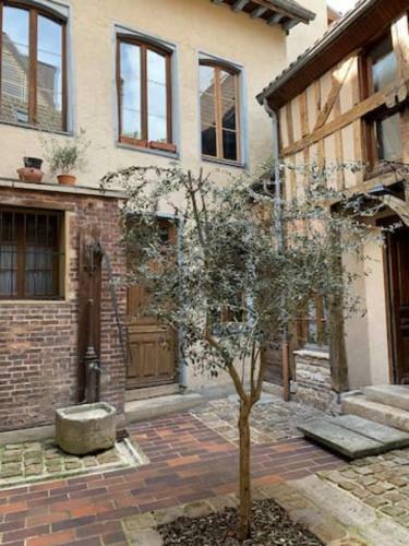 Apartamento Aube Berges De Troyes