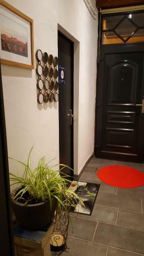 Apartamento Canal Du Midi