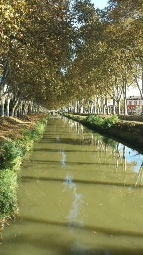 Apartamento Canal Du Midi