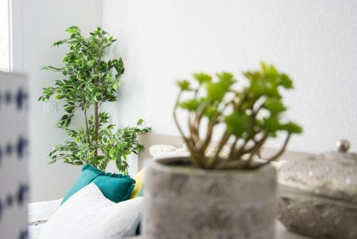 Apartamento R�sidence Sweetly Alexandrin