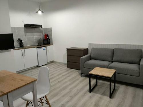 Apartamento Saint Etienne Studio Lot 8