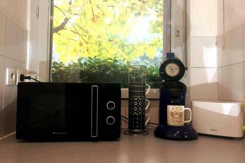 Apartamento Roseraie, Charmant T2 Avec Terrasse