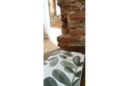 Apartamento Studio Charmant-confort-hypercentre-metro-wifi