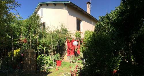 Hostal La Bulle Dans Le Palmier