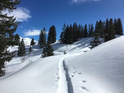 Apartamento Les Sapins Blancs