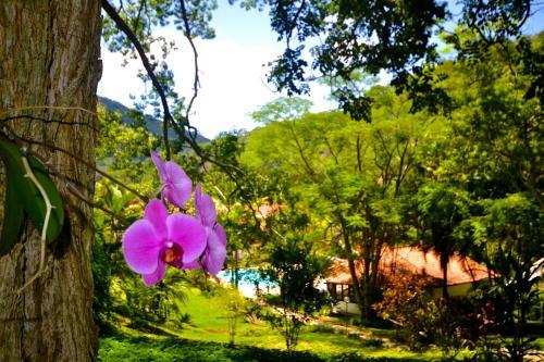 Vila Da Sol Apartamentos Itaipava