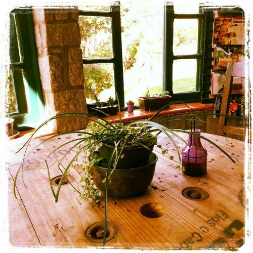 Hostal Estalagem Das Casuarinas