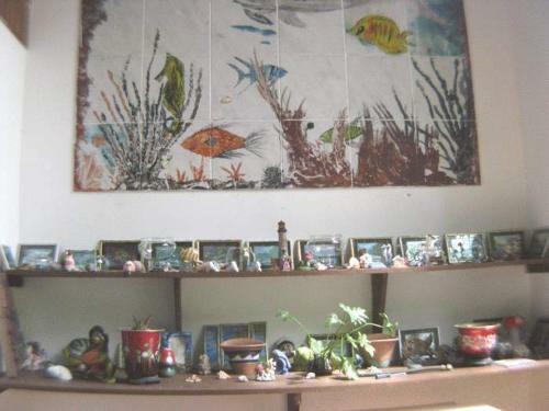 Hostal Pousada Brasil Tropical