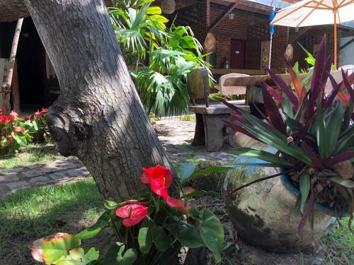 Hostal Pousada Sempre Graciosa