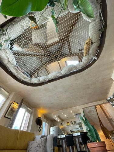 Apartamento La Petite Sir�ne