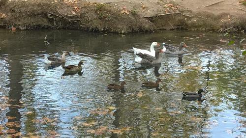 Le Pr� Aux Cigales