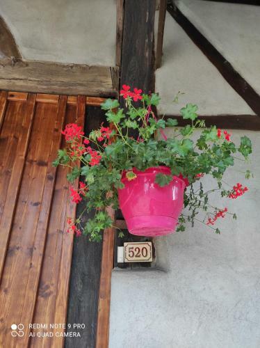Apartamento Gite De Peupliers