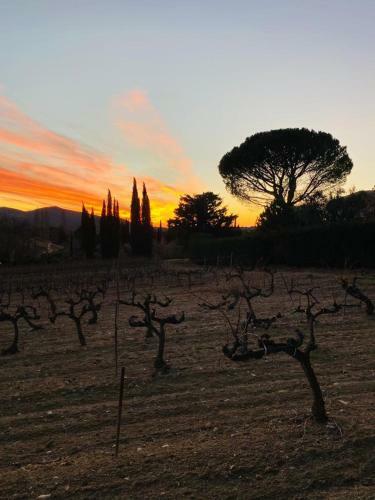 Apartamento Coquet Studio-vaison La Romaine