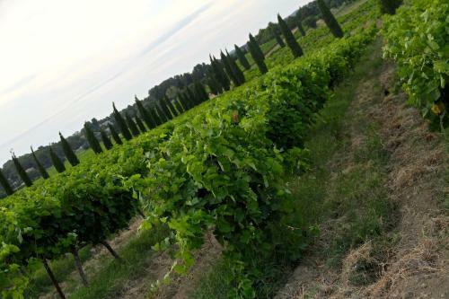 Hostal Villa Rustica La Tulisse