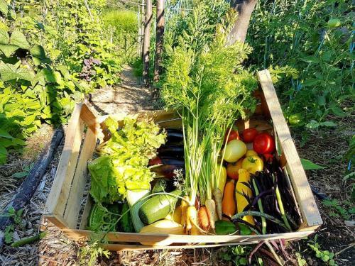Ferme De Chalas, G�te En Transition �cologique