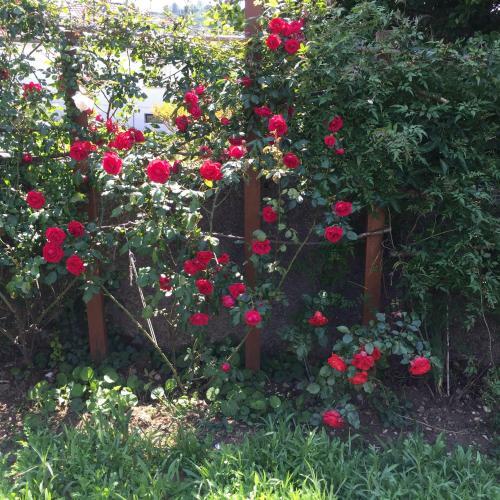 Bed & Breakfast Un Temps Pour Le R�ve