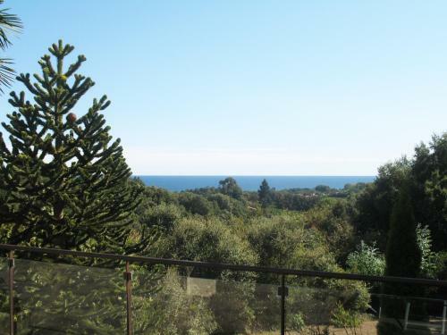 Villa Angelini