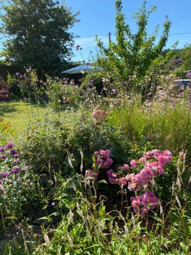 Bed & Breakfast La Chambre Des Dames