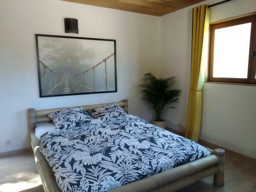 Bed & Breakfast Pura Vida