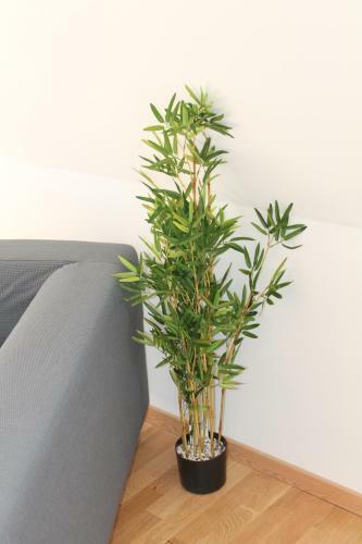 Apartamento R�sidence Mila