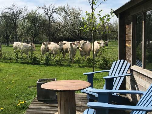 Gite "cote Jardin"