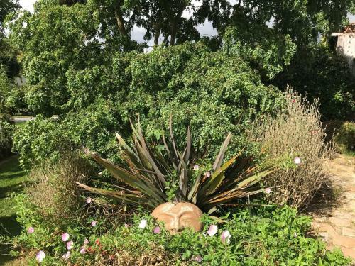 Gite "cote Jardin"