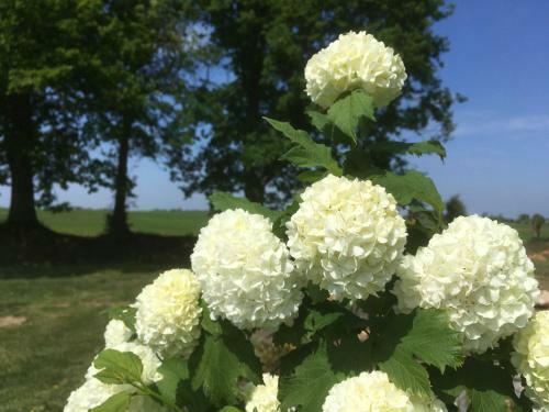 Gite "cote Jardin"