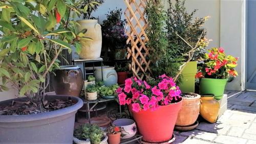 Apartamento G�te Le Micocoulier