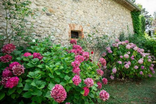 Apartamento G�te Mon Paradis