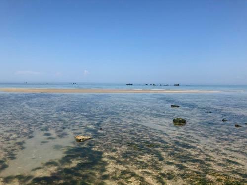 Bed & Breakfast Jardin Des P�relles