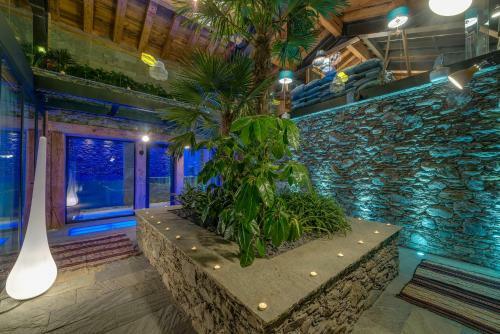 Chalet Carte Blanche Husky - Val D'is�re