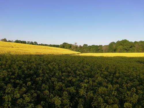 Bed & Breakfast Varzay Autour Du Puits