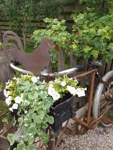 Hostal Atelier 19 Maison D'h�tes