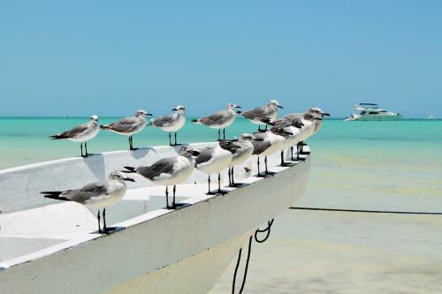 Aparthotel El Coraz�n Boutique Hotel - Adults Only