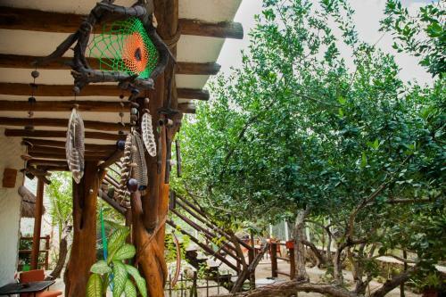 Hotel Villa Los Mangles
